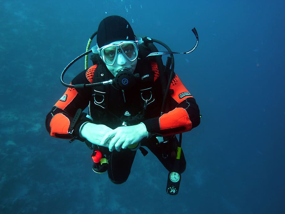 scuba diver, water, diving, underwater, dive, scuba divers, man, alone, diving equipment, underwater world