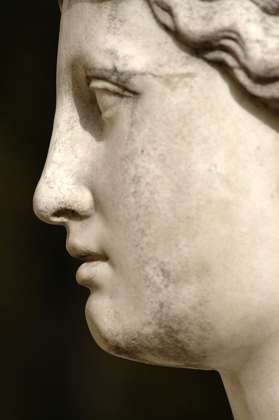 Portrait, Statue, Profile, Woman, art, girl, person, marble, hair, eyes