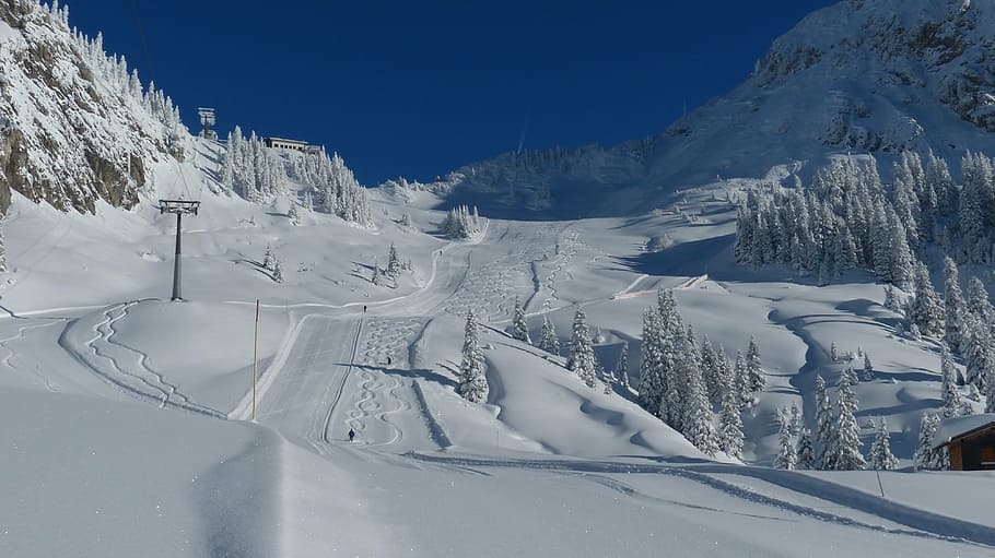 lapangan salju, siang hari, jalur ski, ski, lereng ski, landasan, tyrol, tannheimertal, musim dingin, ski di negara pedalaman