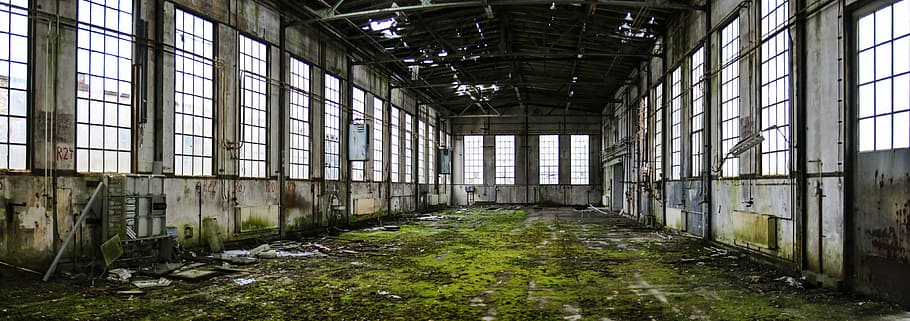 green, moss, inside, room, ruin, hall, lapsed, decay, leave, old factory