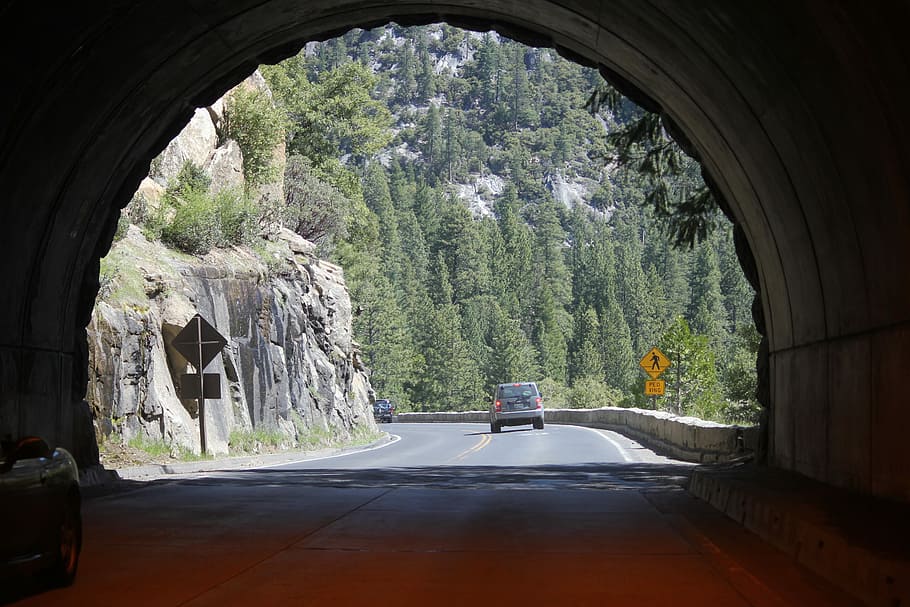 Tunnel, Car, Light, transportation, road, street, land vehicle, tree, plant, nature