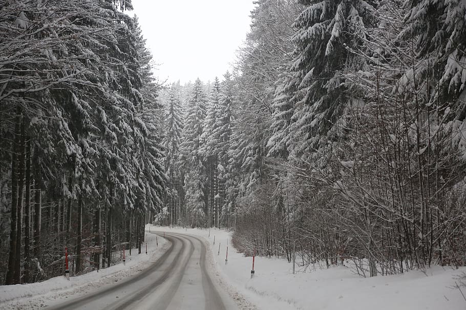 road, winter, forest, snow, landscape, nature, trees, fog, wintry, cold