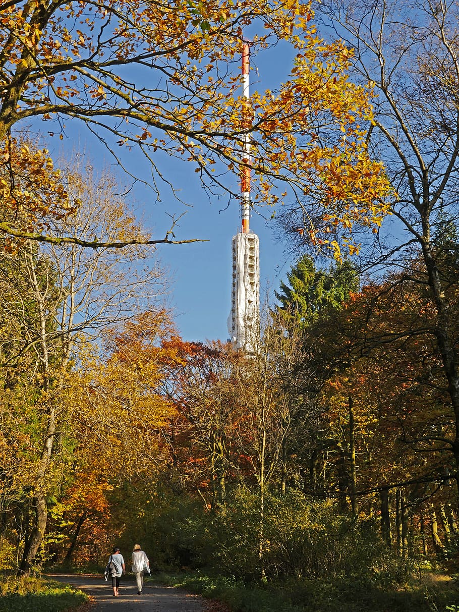 autumn forest, sauerland, northern bright, transmitter, transmission tower, wdr, radio, watch tv, fm, dab