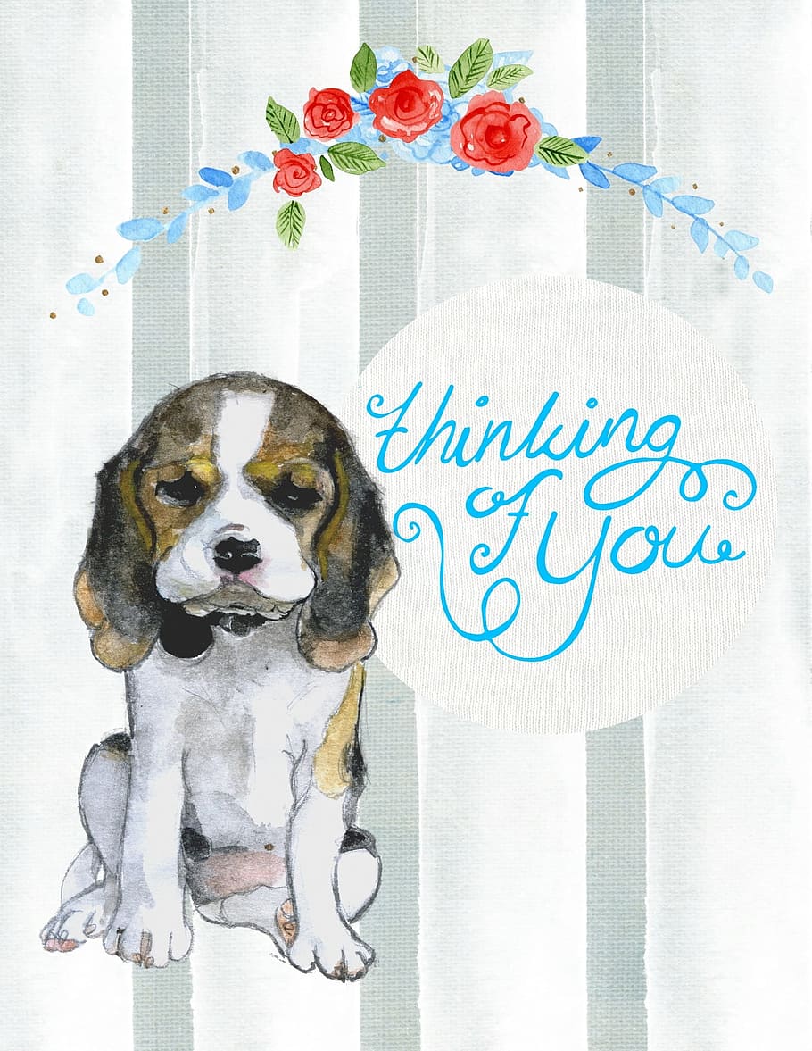 blanco, marrón, ilustración de perro, pensando en ti, cachorro, perro, tarjeta, saludo, acuarela, romántico