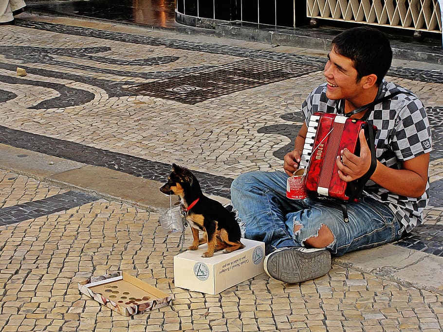 pobreza, mendigo, joven, limosna, artista callejero, hombre, recoger dinero, acordeón, instrumento, akordeon