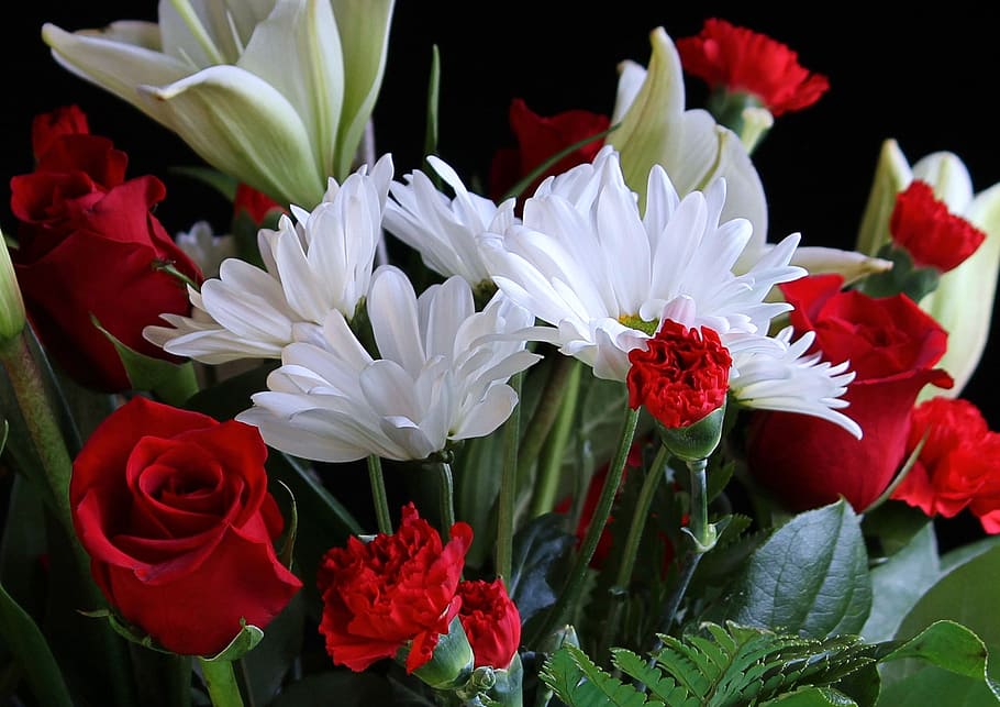 white, red, flowers, bloom, white daisys, red carnations, red roses, floral, plant, natural