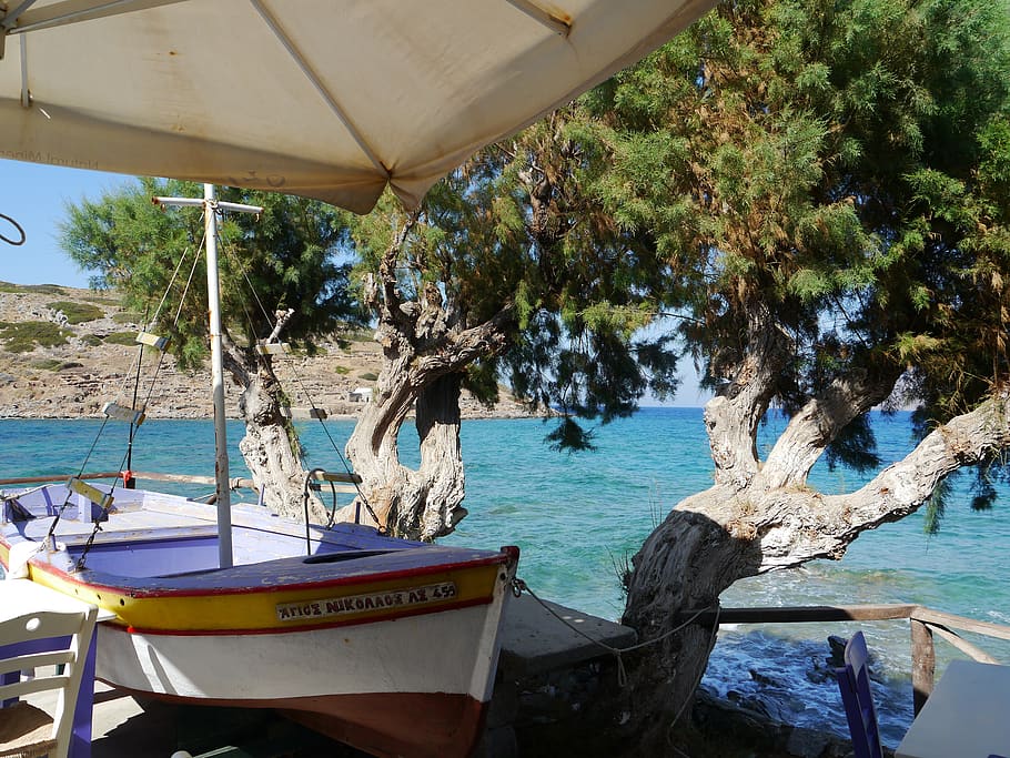 sea, boat, olive tree, crete, water, vacations, tree, plant, nautical vessel, nature