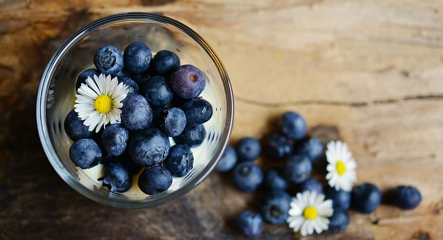 blue, berries, glass cup, blueberries, dessert, daisy, fruit, fruits, food, delicious