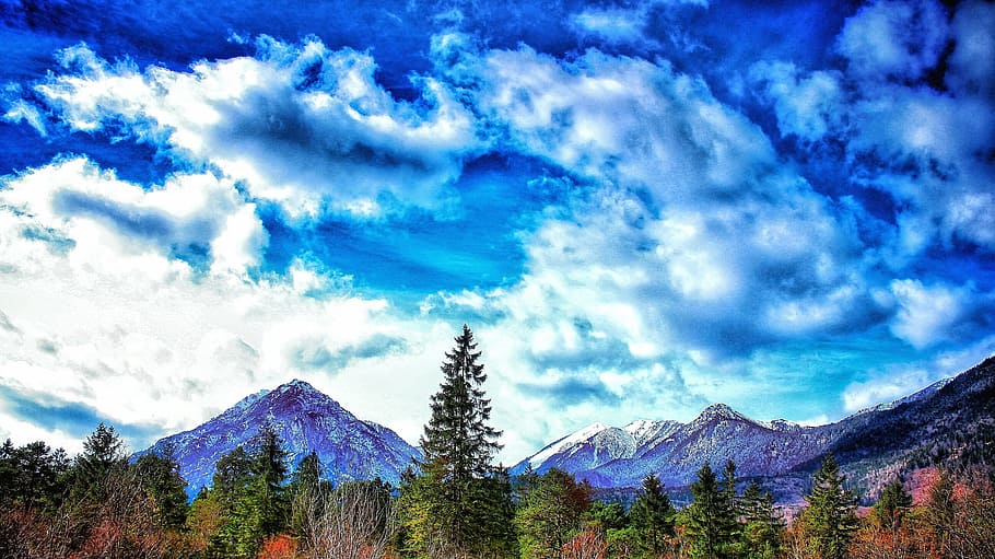montañas cubiertas de nieve, pinos, nublado, pintura del cielo, nieve, gorra, montañas, cielo, pintura, bosque