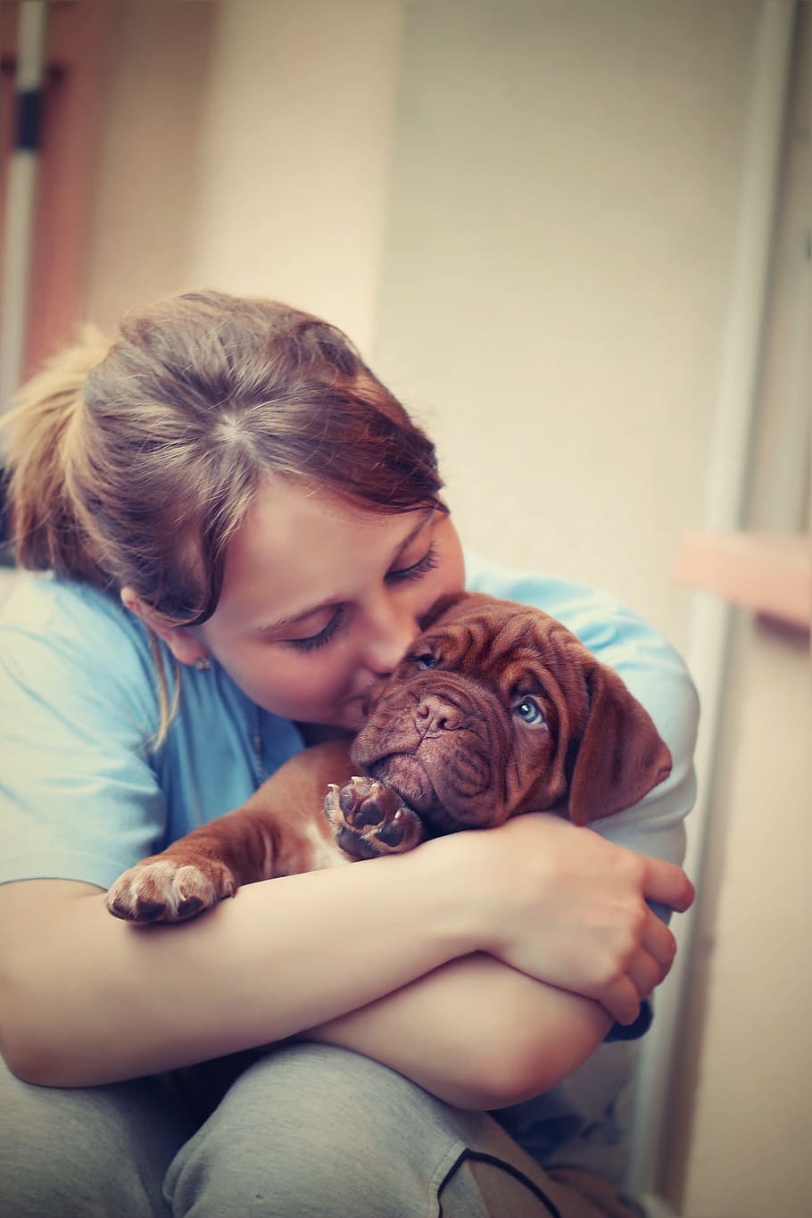 woman, hugging, short-coated, brown, puppy, dogue de bordeaux, love, dog, girl, french mastiff