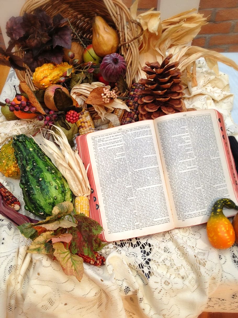 開く, 本のページ, バラエティ, 果物, 感謝祭, 教会, ミサ, 聖書, キリスト教, 宗教