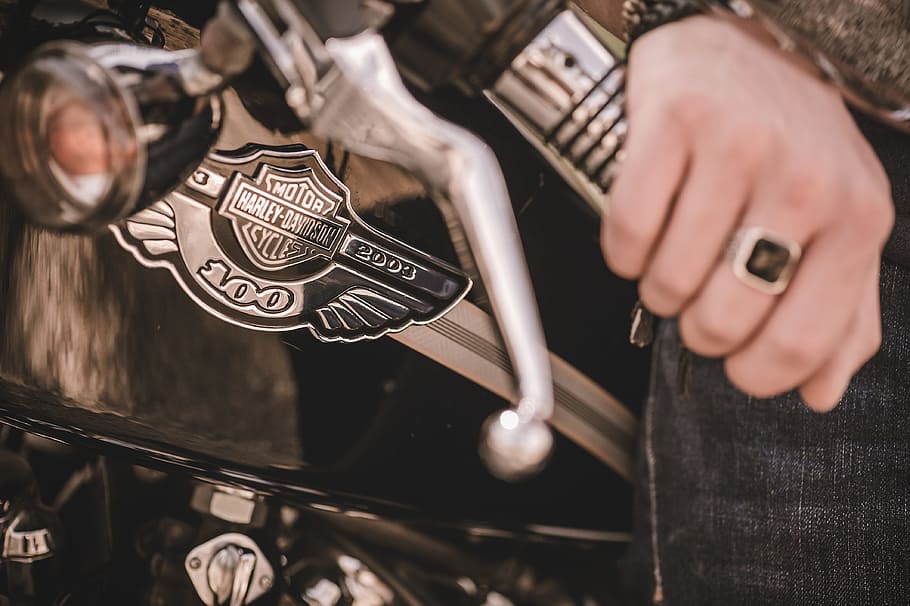 harley-davidson emblem, biker, harley, harley davidson, 1200, custom, anniversary, sportster, moto, motorcycles