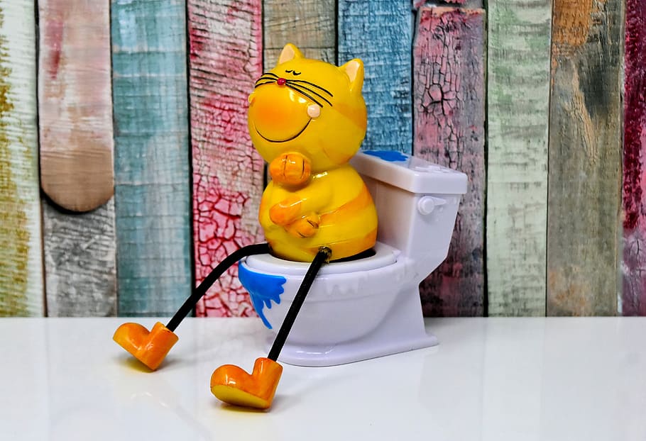 yellow, cat, sitting, toilet bowl figurine, litter box, toilet, figure, loo, cute, funny