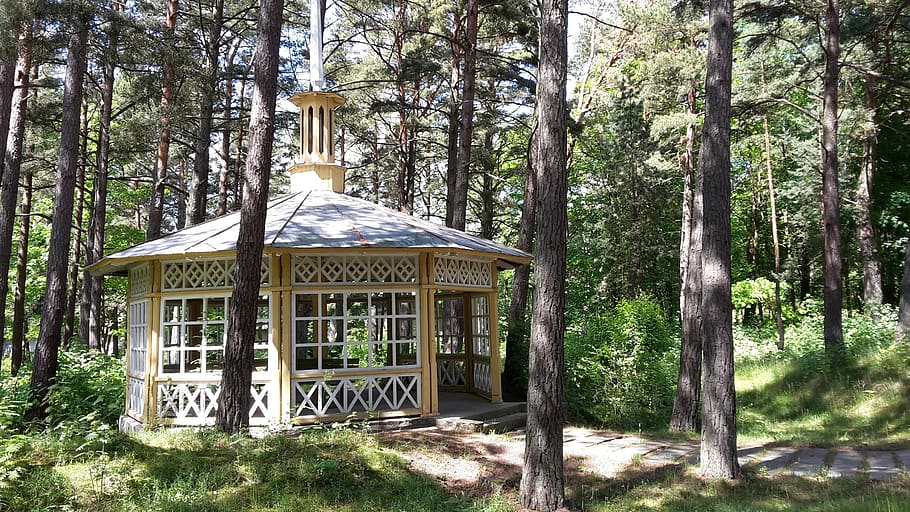 wooden house, gazebo, forest, pine, lithuania, palanga, pine forest, tree, plant, land