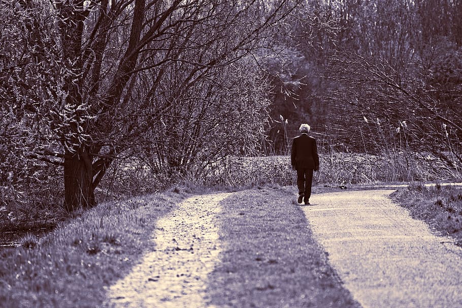 grayscale photography, man, talking, curved, road, grass, trees, person, people, walking