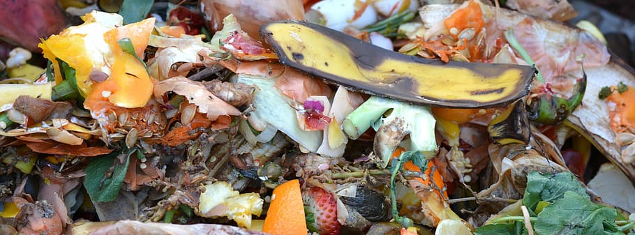 compost, fruit, vegetable waste, composting, banana, peel, food, leaf, fruit and vegetable waste, banana peel