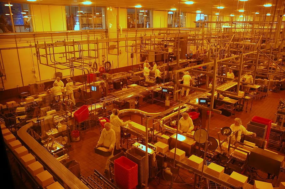 di dalam, Pabrik Keju Tillamook, Oregon, jalur perakitan, pabrik keju, makanan, foto, di dalam ruangan, produksi, domain publik