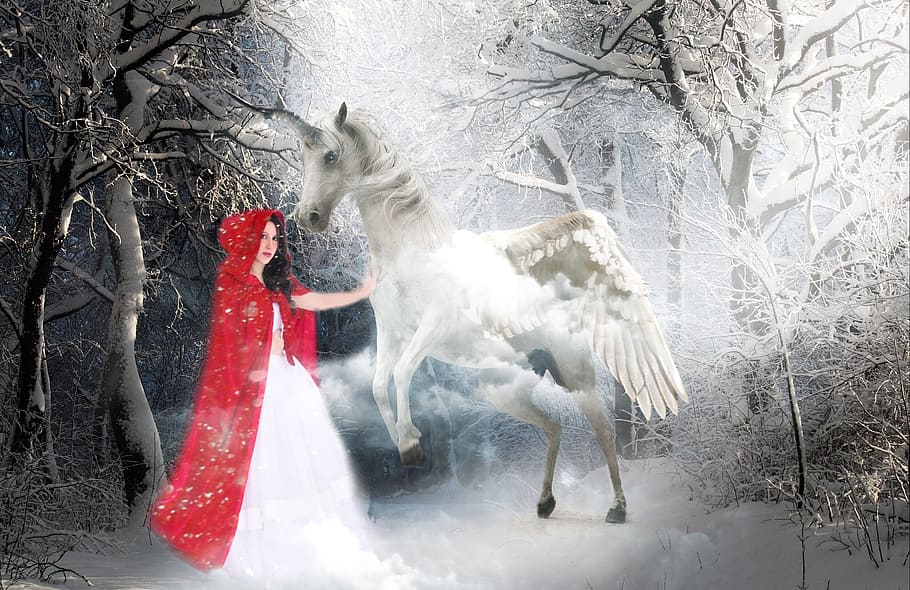 Mujer, rojo, capa, conmovedor, blanco, unicornio, cuentos de hadas, niña, rotkäppchen, princesa