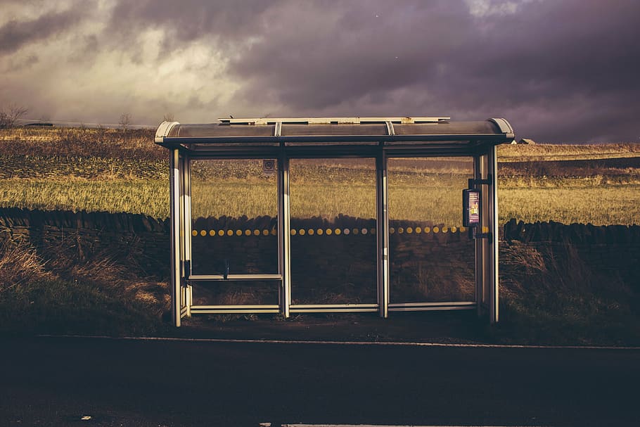 waiting, shed, brass field, daytime, nature, landscape, plant, field, green, clouds