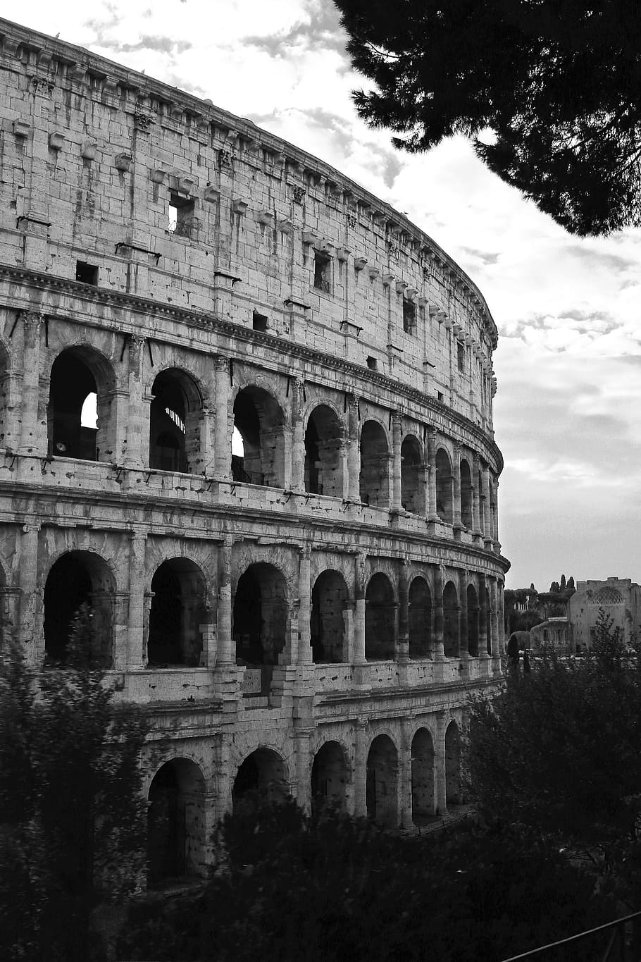 estadio en escala de grises, árboles, coliseo, italia, roma, europa, romano, italiano, hito, arquitectura