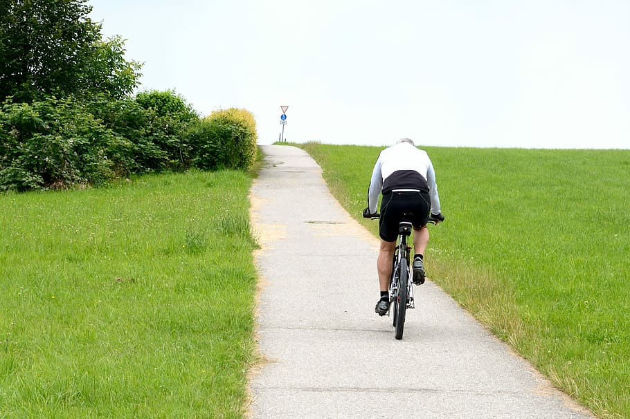 man, riding, bicycle, grasses, Cyclists, Drive, Bike, Wheel, cycling, leisure