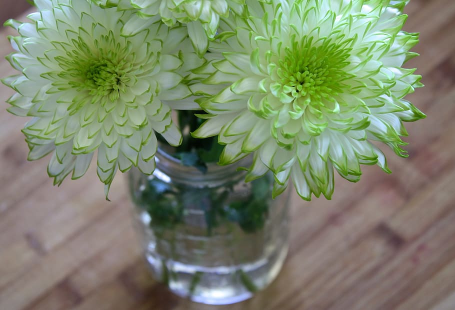 bagian pusat bunga putih-dan-hijau, vas, putih, hijau, bunga, pusat, bagian, musim semi, taman, tanaman