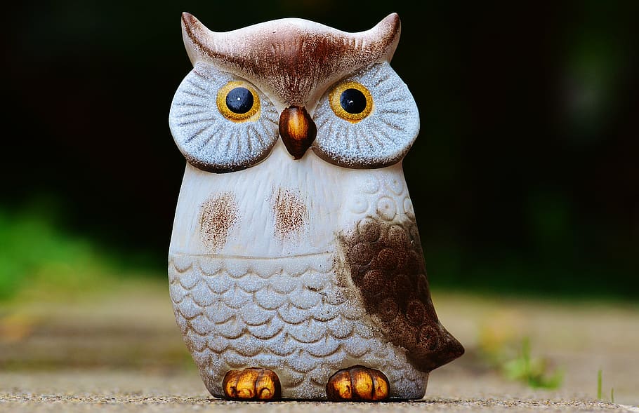 owl, bird, funny, animal, cute, deco, figure, decoration, feather, animal themes