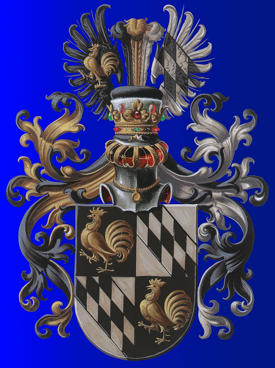 escudo de armas, europeo, tradición, hereditario, personajes, persona, familia, grupo de personas, familia noble, caballería