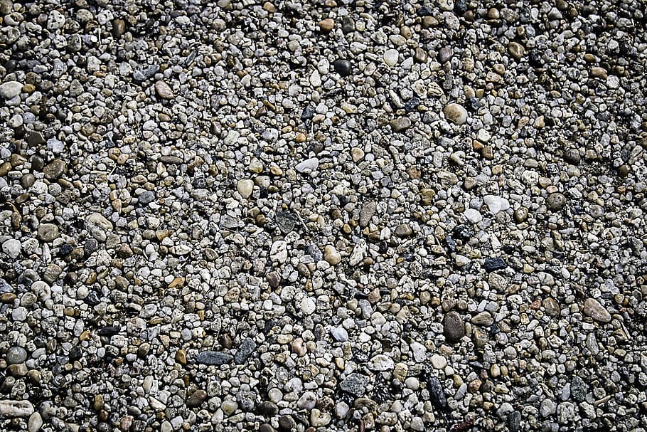 Default, Stones, Water, Portugal, discover, shells, beach, sand, beira mar, rocks