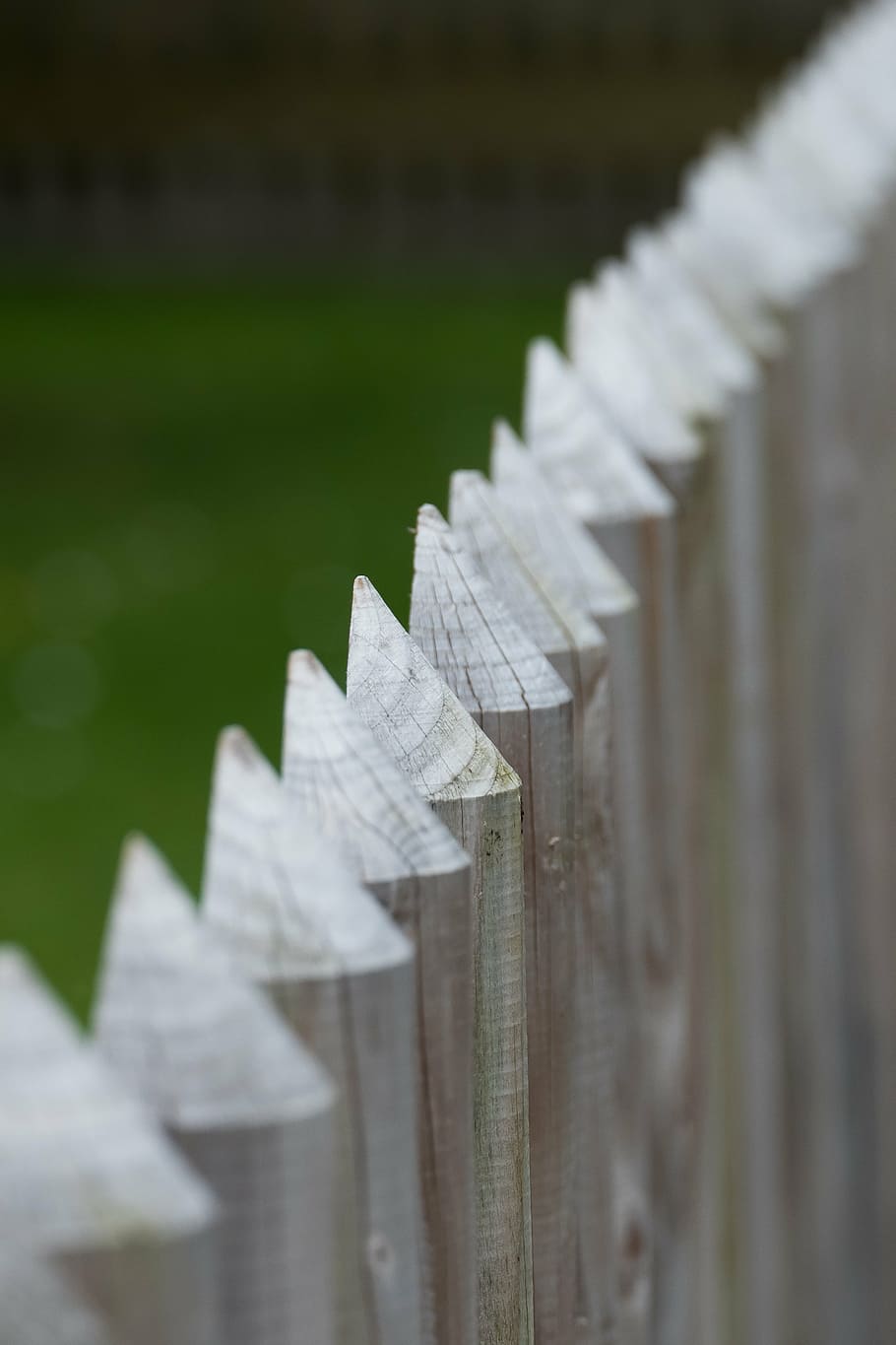 fence, wood, pointed, wood fence, batten, paling, texture, limit, diagonal, green