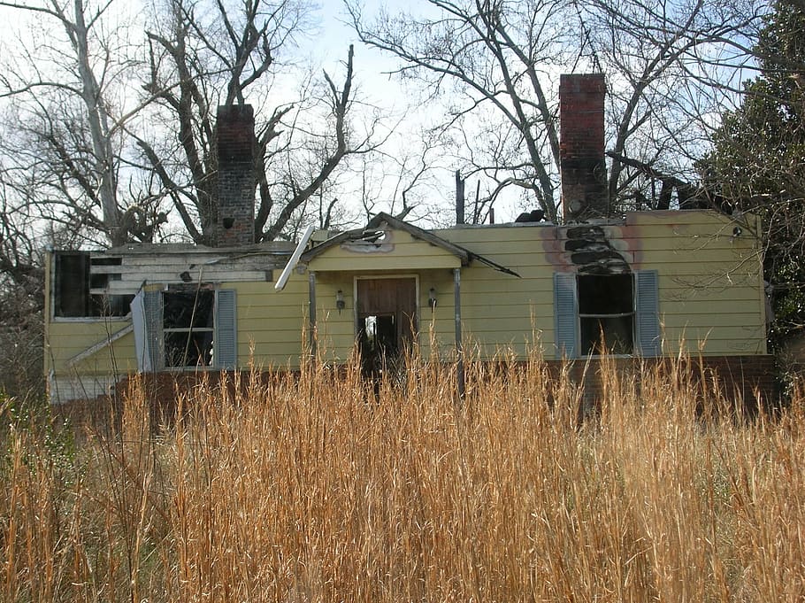 shack, outside, yellow, house, rundown, trailer, old, building, architecture, plant