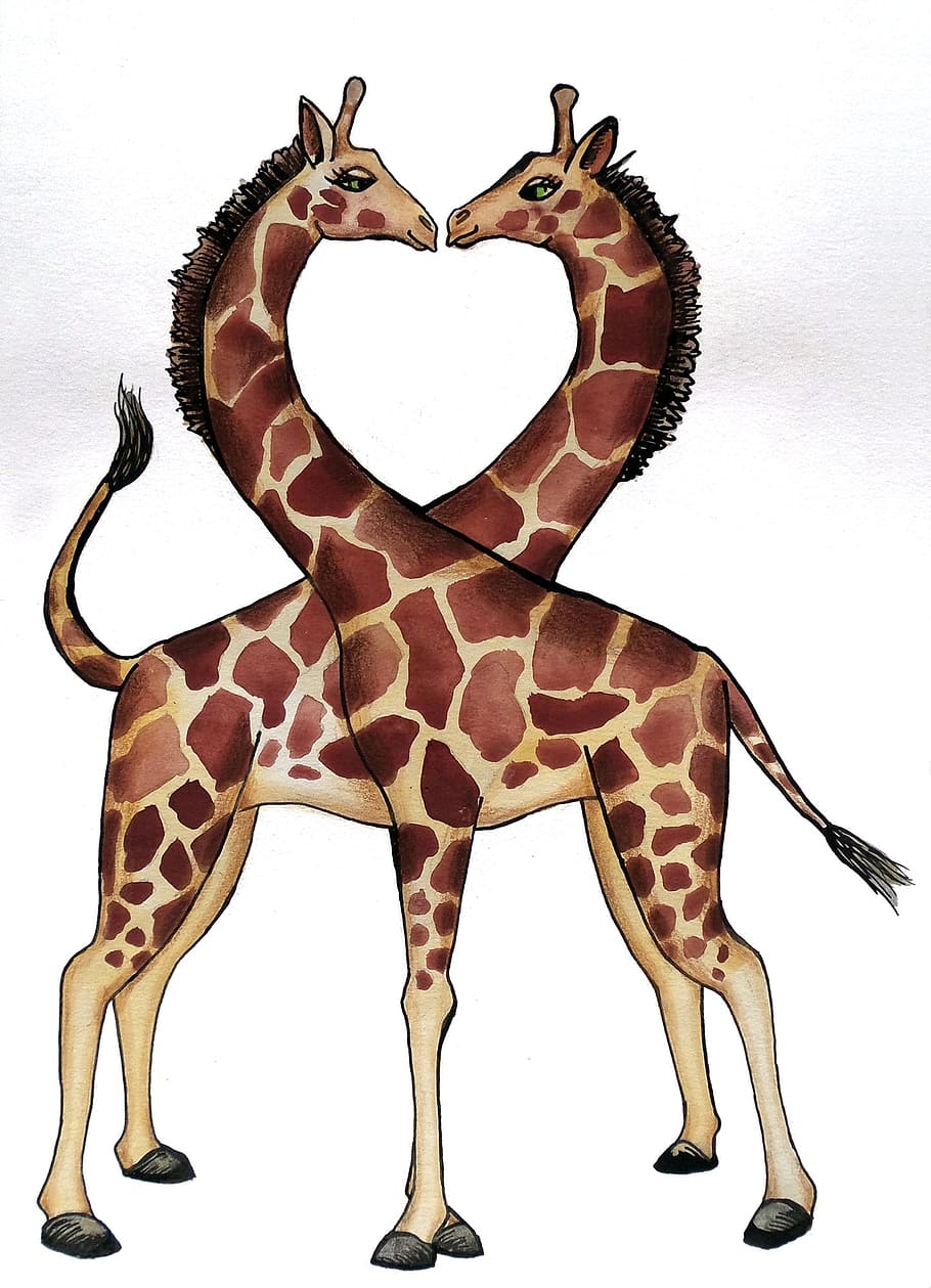 two giraffe illustrations, Giraffe, Heart, Love, Animals, decoration, kiss, drawing, animal, white background