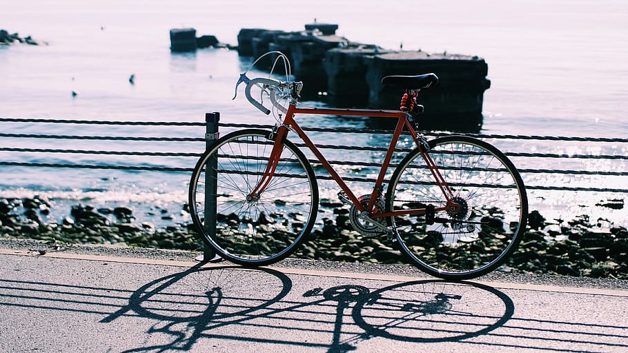 bike, bicycle, road, street, sunny, day, fence, sea, ocean, water