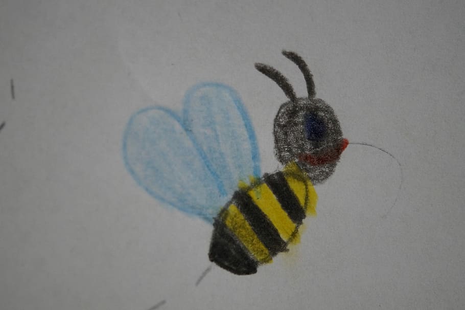 Abeja, mosca, insecto, animal, dibujo de niños, escuela, jardín de infantes, niño, niños, temas de animales