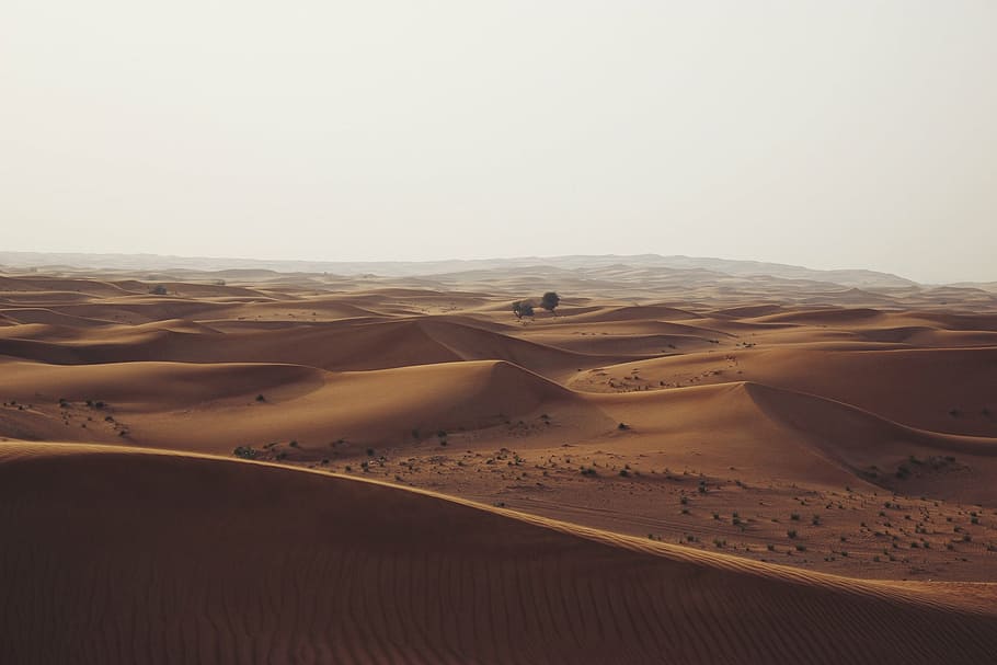 aérea, foto, deserto, dunas de areia, areia, seco, quente, áfrica, laranja, saara