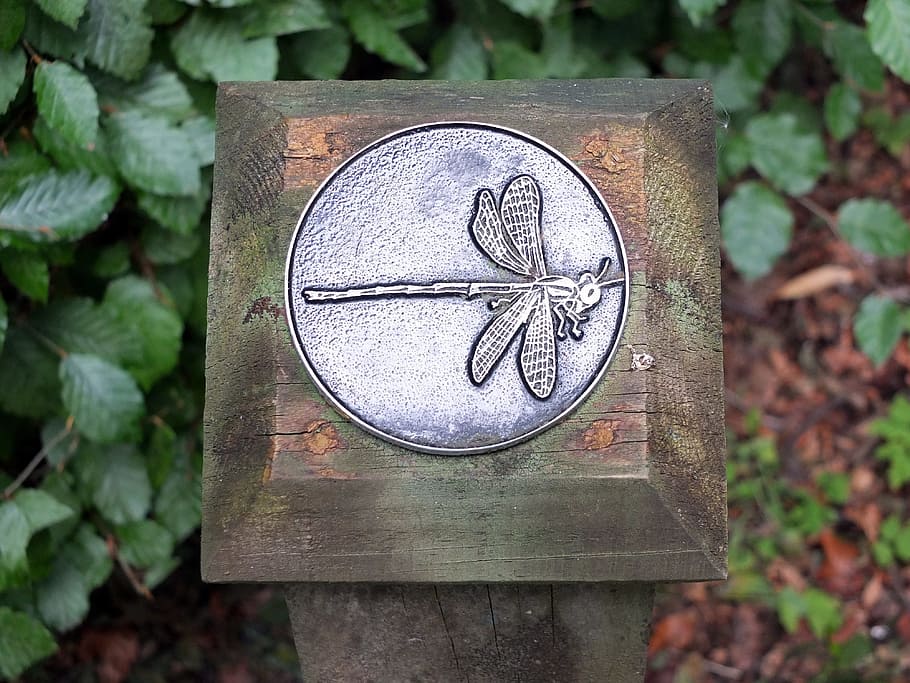 dragonfly, guide, garden, path, direction, metal, steel, embossed, wings, body