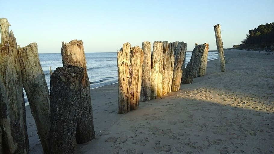 driftwood, stakes, trunks, beach, sand, irish sea, sea, sky, land, water