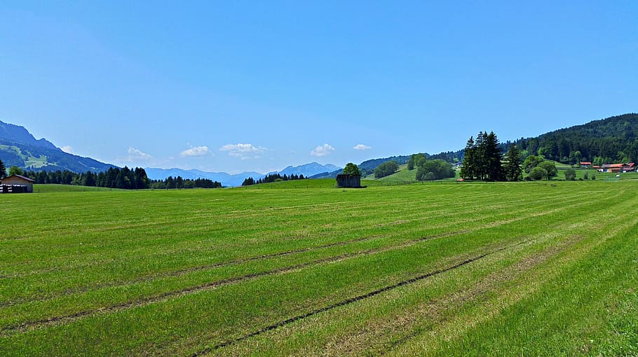 allgäu, montañas, paisaje, alpino, naturaleza, hdr, agricultura, escena rural, granja, montaña