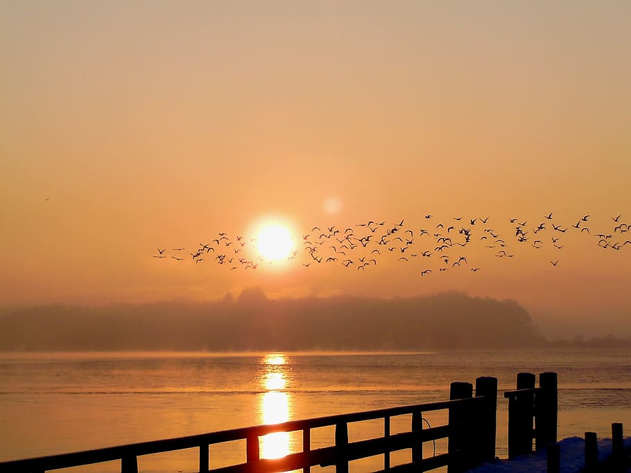 Chiemsee, Sunrise, Lake, Morgenrot, sunrise, lake, nature, mood, morgenstimmung, morning, sunset