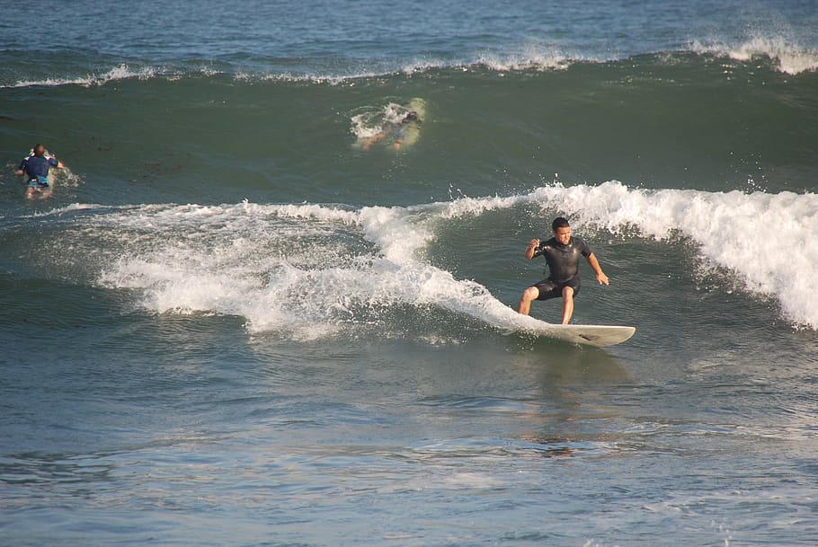 surfer, sea, wave, sport, ocean, beach, outdoor, summer, water, surf