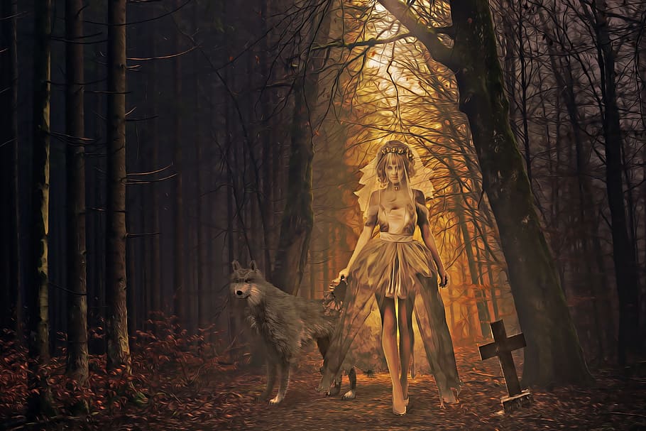 woman, gray, wolf, halloween, bride, dead bride, tombstone, forest, mist, ghost
