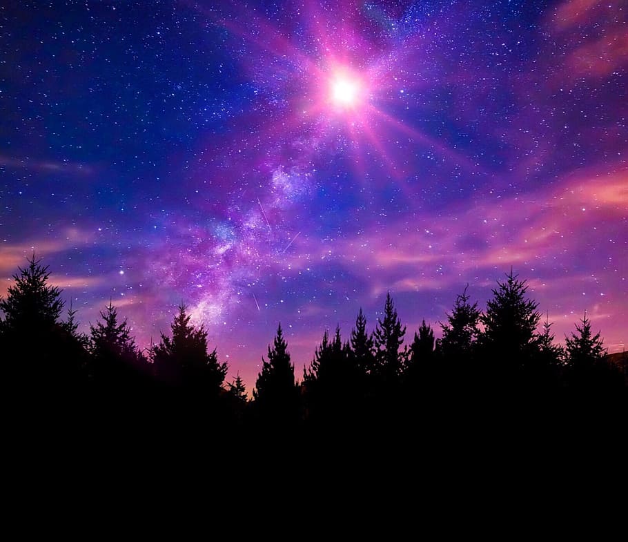 fotografía de silueta, árboles, nebulosa, vía láctea, cielo nocturno, estrellas, espacio, galaxia, cielo, noche