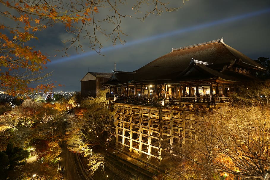 antena, foto, marrón, tienda de la torre de la pagoda, Japón, Osaka, vista nocturna de Osaka, vista nocturna, la vista nocturna de Osaka, ciudad