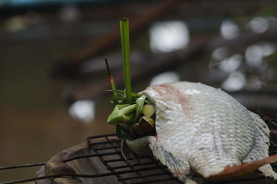 tilapia, grilled fish, food, lifestyle, nature, life, outside of the house, culture, asia, agriculture