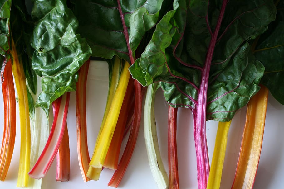 vegetable, leaves, food, chard, rainbow, beet, healthy, eating, ingredient, vegan
