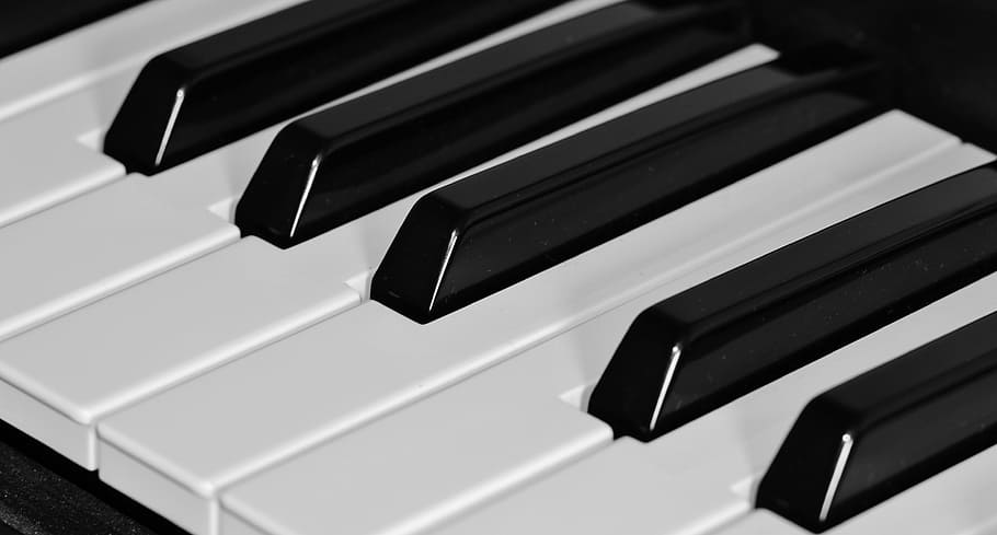 closeup, foto, piano, kunci, keyboard, tombol, musik, instrumen, hitam, putih