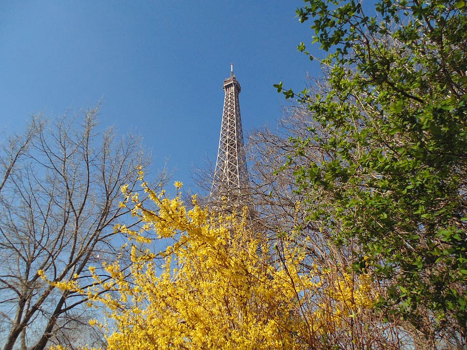 Paris, akhir pekan, perancis, torre, menara eiffel, pohon, tanaman, menara, arsitektur, langit