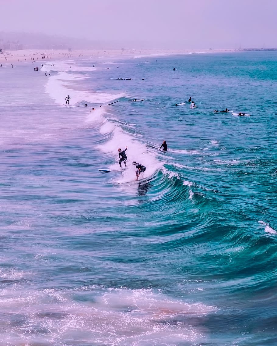 people surfing, daytime, venice beach, california, surfers, waves, surfing, figures, vacation, holiday
