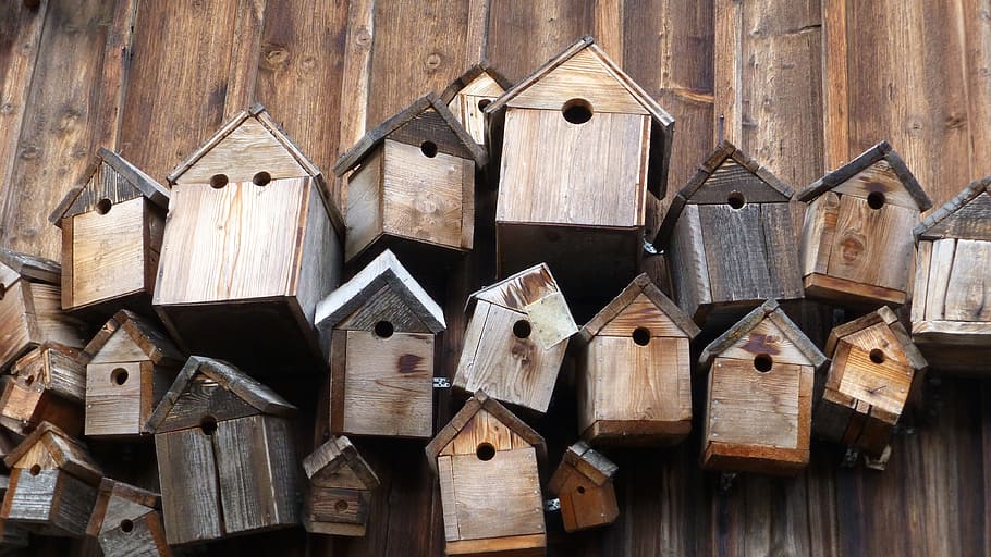 brown, wooden, bird houses, bird feeder, nest boxes, allgäu, wood, birdcage, wood - material, large group of objects