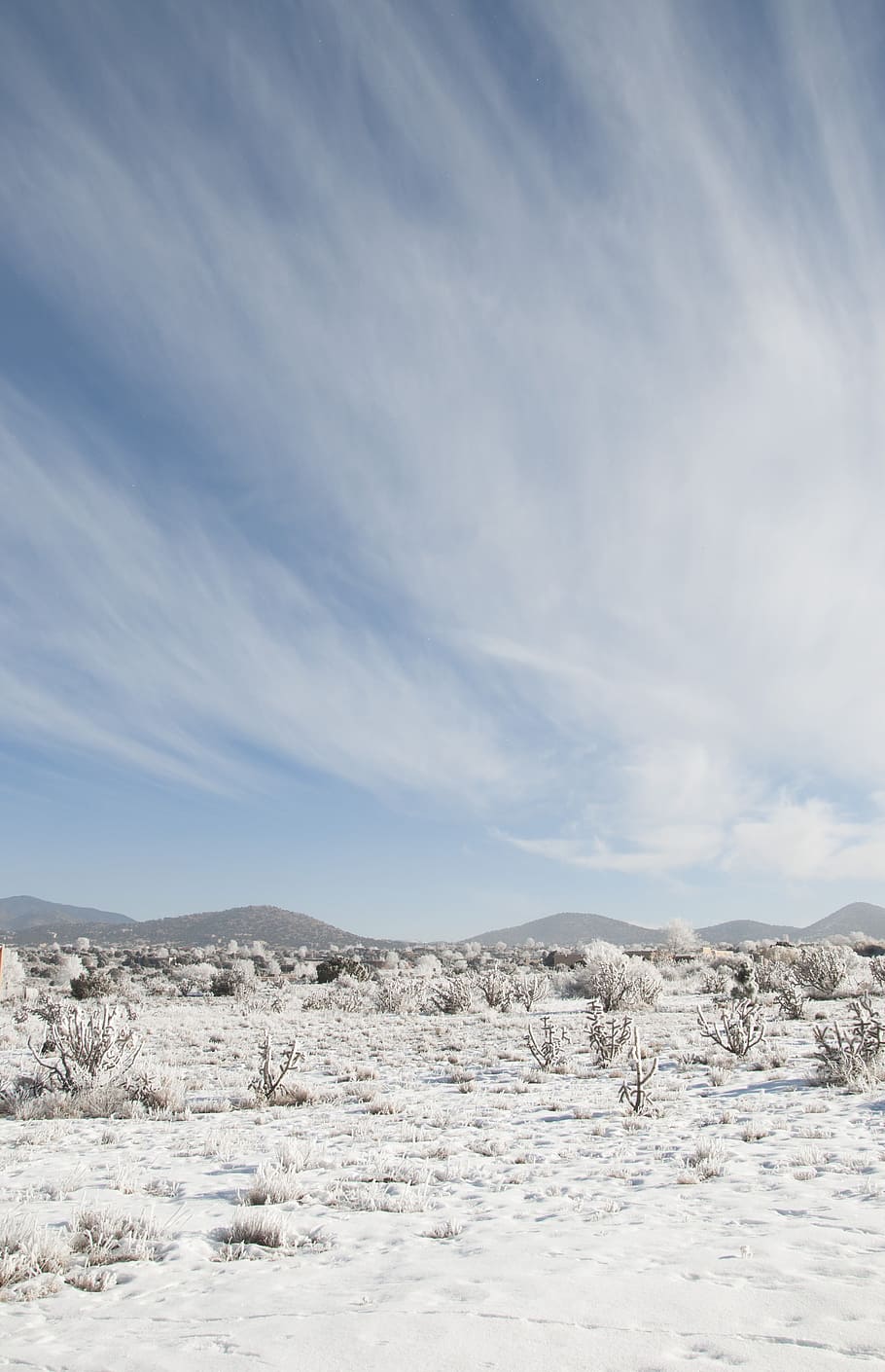 自然, 冬, 雪, 風景, パノラマ, ワンダーランド, ニューメキシコ, 空, 自然の美しさ, 静かな情景